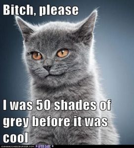 christian gray gato